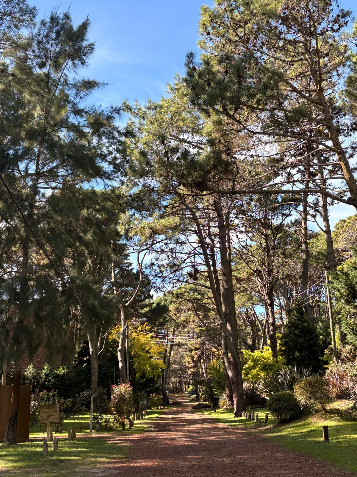 Costa del Este